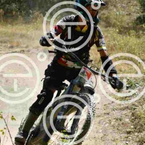 NIC_0852_tn