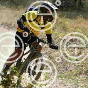 NIC_0858_tn