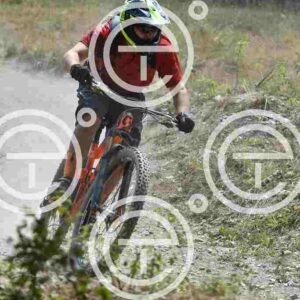 NIC_0875_tn