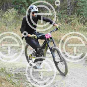 NIC_0904_tn