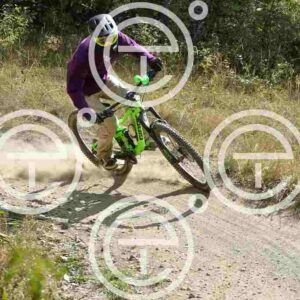NIC_0911_tn