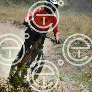 NIC_0927_tn