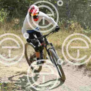 NIC_0932_tn