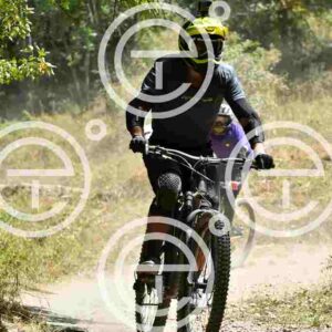 NIC_0952_tn