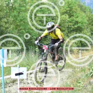 NIC_0969_tn