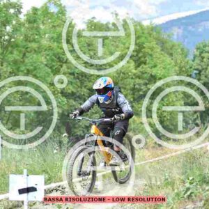 NIC_0973_tn