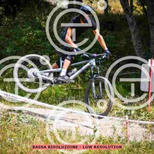 NIC_0997-2_tn