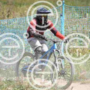 NIC_1049_tn