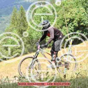 NIC_1074_tn