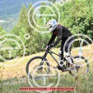 NIC_1092_tn