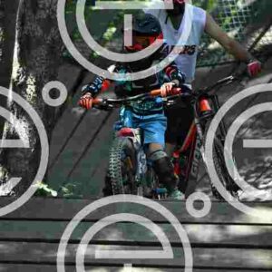 NIC_1239_tn