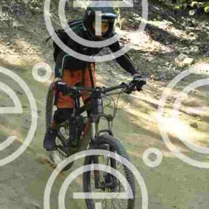 NIC_1268_tn