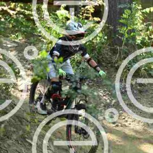 NIC_1293_tn
