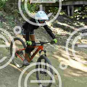 NIC_1304_tn