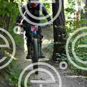 NIC_1385_tn