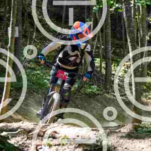 NIC_1421-2_tn