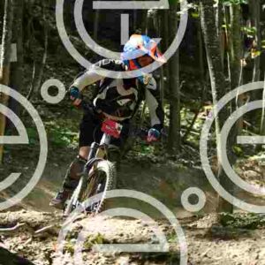 NIC_1422_tn