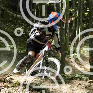 NIC_1424_tn