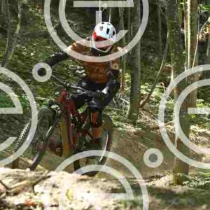 NIC_1458_tn