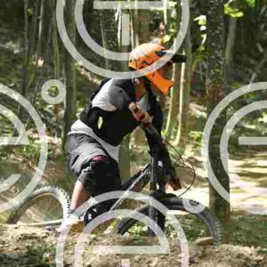 NIC_1516_tn