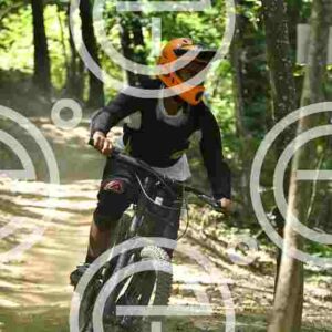NIC_1534_tn