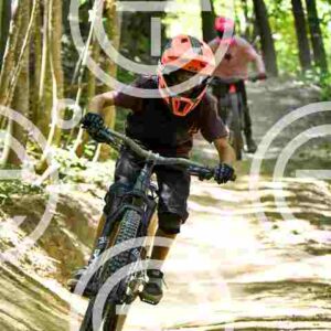 NIC_1555-2_tn