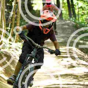 NIC_1556-2_tn