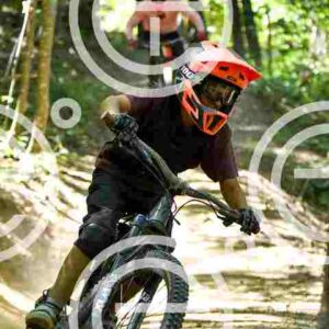 NIC_1557-2_tn