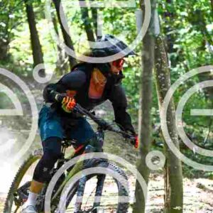 NIC_1579-2_tn