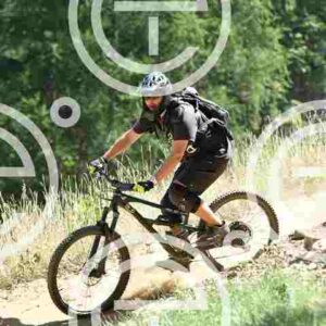 NIC_1614_tn