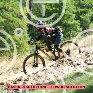 NIC_1725_tn