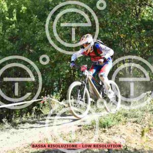 NIC_2452_tn