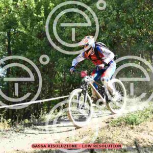 NIC_2453_tn