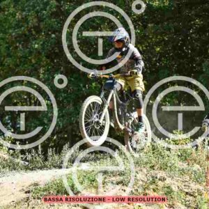 NIC_2464_tn