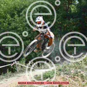 NIC_2542_tn