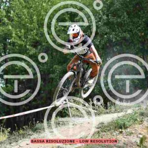NIC_2543_tn