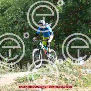 NIC_2547_tn