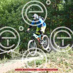 NIC_2548_tn