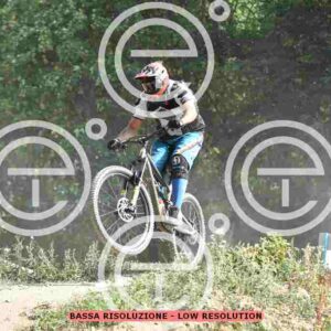 NIC_2557_tn