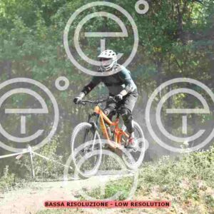 NIC_2562_tn