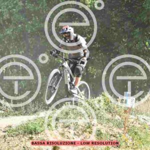 NIC_2565_tn