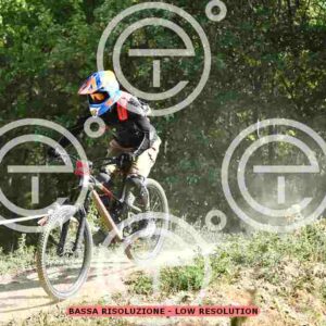 NIC_2575_tn