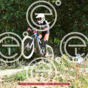 NIC_2582_tn