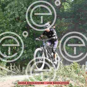 NIC_2622_tn