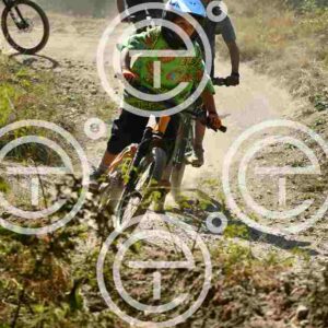 NIC_2743_tn