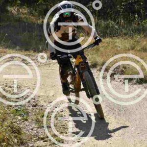 NIC_2751_tn