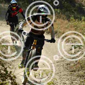 NIC_2752_tn