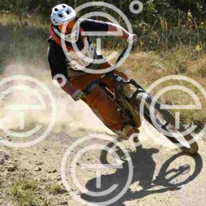 NIC_2772_tn
