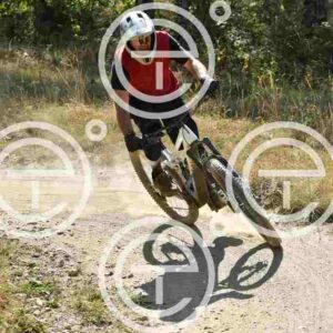 NIC_2834_tn