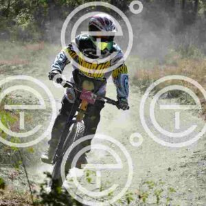 NIC_2862_tn